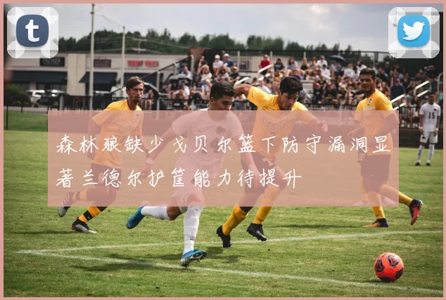 森林狼缺少戈贝尔篮下防守漏洞显著兰德尔护筐能力待提升